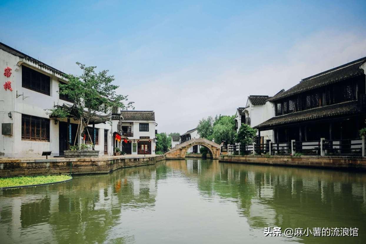 爱吃叶子的毛毛虫